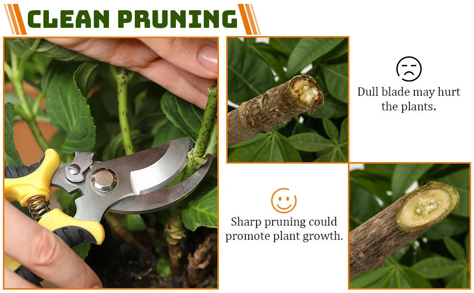 Description Picture 6 of item3 Pack Garden Pruning Shears Set Stainless Steel Scissors Clippers Pruning Snips Shears Hand Tools for Flowers Leaves Potted