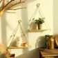 2pcs shelves M01343