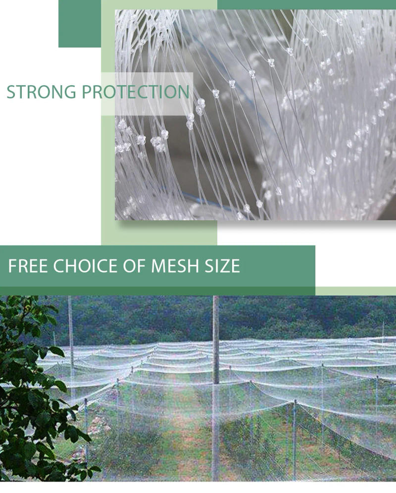 Description Picture 5 of item5x5m Blueberry Garden Fence Netting Anti-Bird Protection Mesh for Fruits & Vegetables Squirrel Prevention Agricultural Use