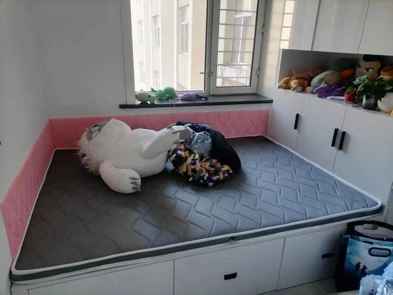 Description Picture 3 of itemFoldable Coconut Palm Mattresses Breathable Tatami Mat Modern Bedroom Furniture Hard Home Student Dormitory Storage Mattress 6cm