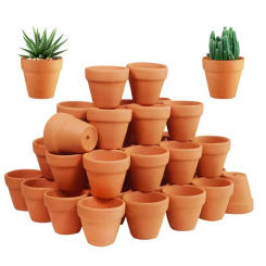 50 Pcs Tiny Terracotta Pots - 1.3 inch Small Mini Clay Pots with Drainage Holes Flower Nursery Terra Cotta Pots for in/outdoor