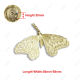 Butterfly7