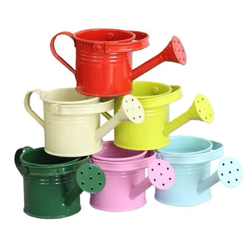 Description Picture 4 of itemGarden Small Water Spraying Pot Flower Kettle Metal Watering Can Sprinkled  Indoor Outdoor Bonsai Plants Gardening Shower