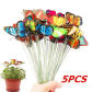 5PCS