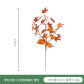 SJ-SFY-CS-A07408