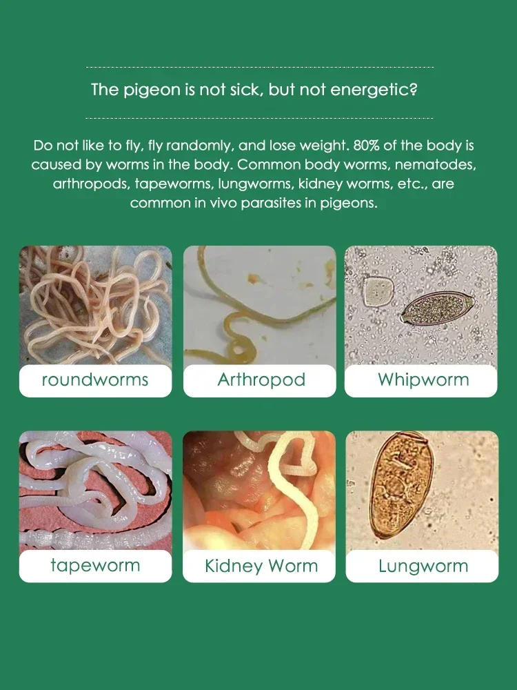 Description Picture 5 of item100 Tablets Pigeon Repellent Insecticide Cleans Up Roundworm Tapeworms, Insects and Plants Repellent Does Not Hurt Pigeons