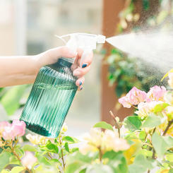 500ml Plastic Plant Mist Sprayer Leak Proof BPA Free Spray Bottle for Garden Indoor Cleaning Supplies