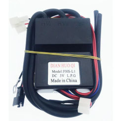 WanHe  Dual ignition - temperature control 10 wire igniter