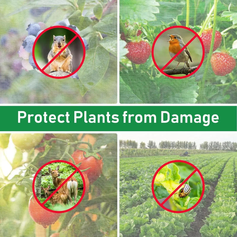 Description Picture 5 of itemGarden Plant Insect Netting Vegetable, Flower and Fruit Care Cover Netting Pest Control Bird-proof 60 Mesh Protective Netting