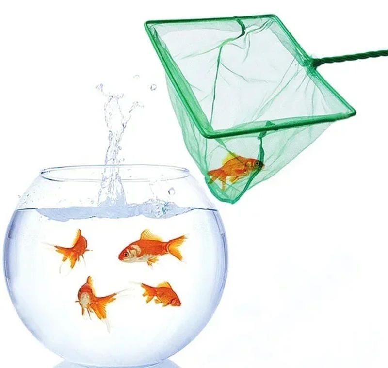 Description Picture 4 of itemLong Handle Square Aquarium Fishing Net Landing Net for Fish Floating Objects  Crab Net Fishing Rod Dryer Hand Net