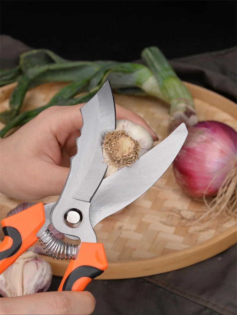 Description Picture 6 of itemTwo-Color Plastic Handle Garlic Scissors Big End Scissors Vegetable Trimming Onion Shears Cooking Kitchen Cutter Spring Design