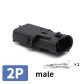 2P Male