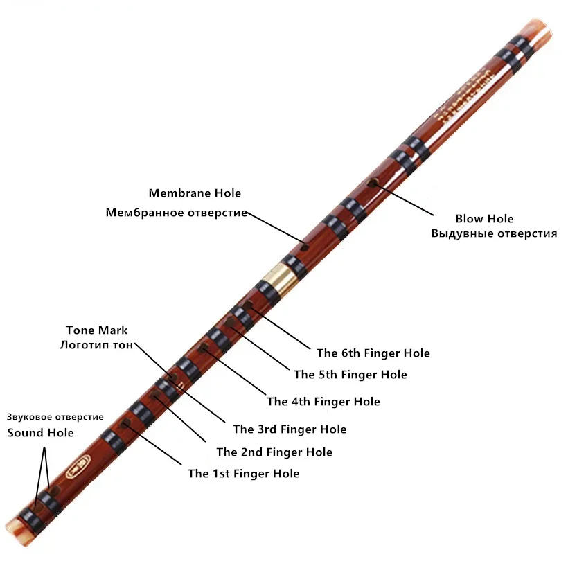 Description Picture 4 of itemHigh Quality Bamboo Flute Professional Woodwind Musical Instruments C D E F G Key Chinese Dizi Transversal Flauta 5 Colors new