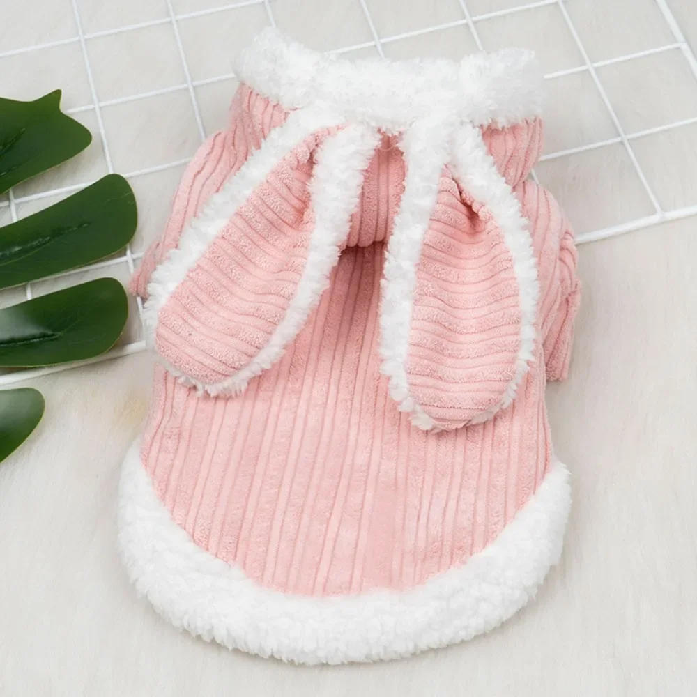 Description Picture 6 of itemLovable Cat Clothes Pet Autumn and Winterb Small Dog Kitten Two Legged Clothes Cat Puppy Warm Clothes Pet Costume Hairless Cat