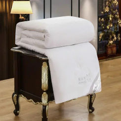 Pure Natural Mulberry Silk Duvet for Winter Autumn Summer Spring Soft Warm 100% Silk Quilt Thick Jacquard Cotton Fabric Blanket