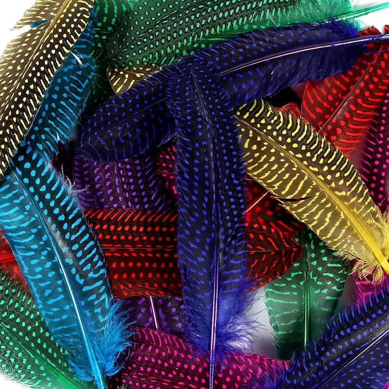 Description Picture 5 of item10Pcs Wing Spotted Guinea Fowl Pheasant Chicken Indian Feathers Headdress Plumes Diy Hair Accessories Decorations Wedding Crafts