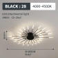 black 28 lights