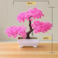 yunsong pink