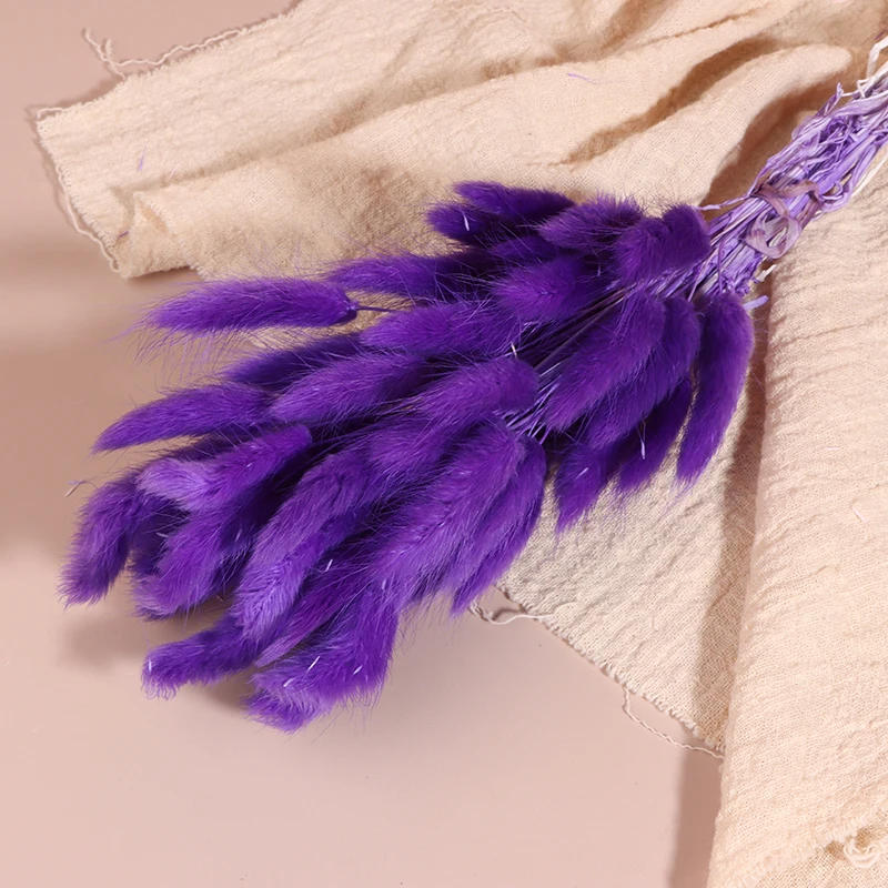 Description Picture 6 of item50pc/Pack Nature Bunny Rabbit Tail Grass Dried Flower Bouquet Wedding Party Decor Fluffy Pampas Christmas Diy Floral Arrangement