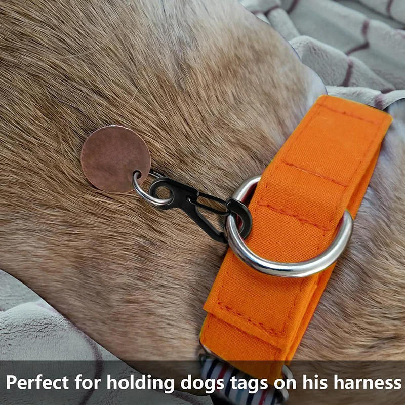 Description Picture 6 of item10Pcs Carabiner D-Ring Key Chain Spring Clips Mini Aluminium Alloy Hang Buckle Survival EDC Gear Outdoor Camping Keyring Tool