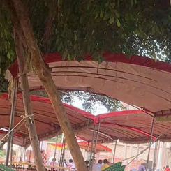 2024 Hammock rack