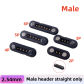 Male Straight