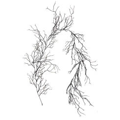 1PCS Halloween black dead cane simulation plant false branches tree vine interior decoration scenery artificial black cane