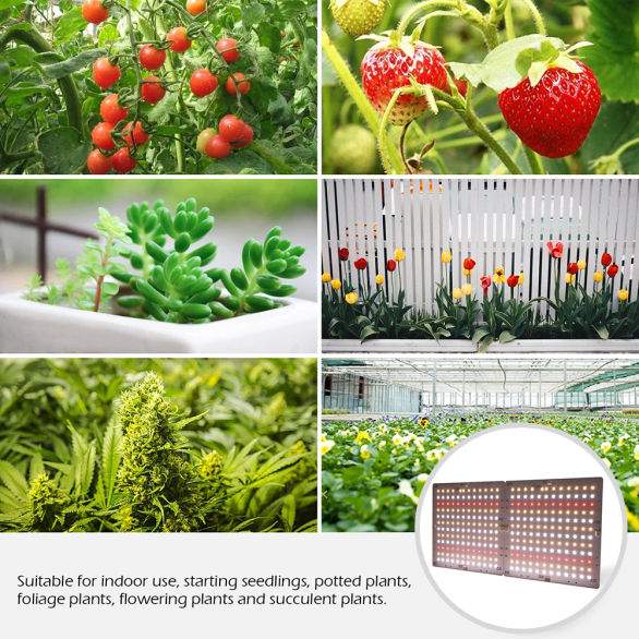 Slide 2cc43b30410144aca43388200b2d6098