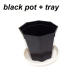 black pot and tray