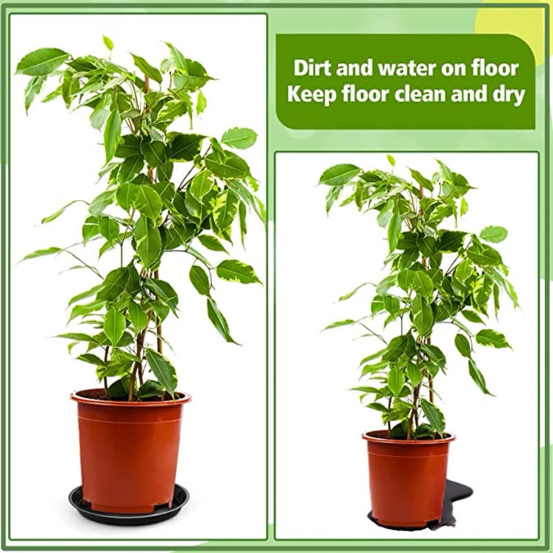Description Picture 6 of item2Pcs 4/6/7/8/10 Inch Plastic Round Plant Saucer Drip Trays Base Saucers Durable Indoor Outdoor Home Garden Flower Pot Supplies