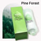 Pine Forest