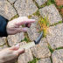 Slide image f39cf2f7c0b94a779687c68832ae67da