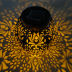 Slide image f2896cb21fdf4290b93f8b6f31ab6d7e