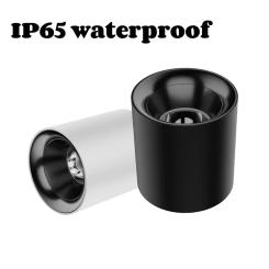 LED Downlight Waterproof Ip65 COB Ceiling Outdoor Surface Mounted 15W-100W AC 85-265V Hotel Villa Home Lighting