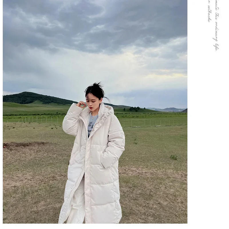 Description Picture 5 of itemWinter Thickened Padded Cotton Coat Women's Hooded Loose-Fit Puffer Jacket DownCotton-Padded Coat for Cold Weather Scenarios