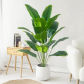 65cm 12 Leaves