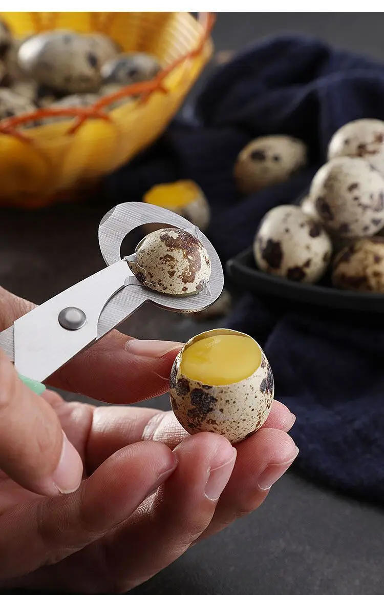 Description Picture 3 of item1pc Eggshell Cutting Scissors - For Quail and Bird Eggs - Easy to Use and Durable, for Egg Opening, Shell Cracking,Egg Splitting