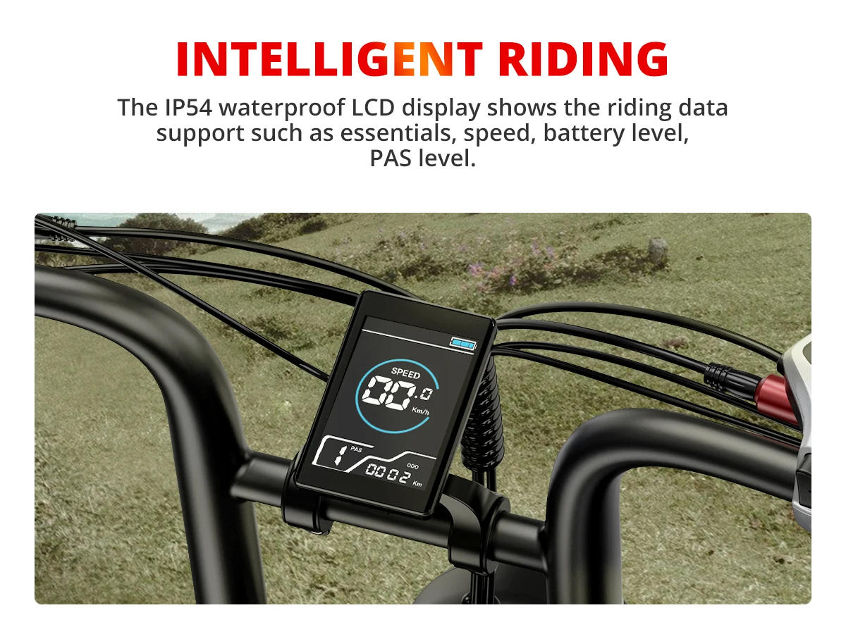 Description Picture 5 of itemMountain E-bike Electric Bicycle Prices 1000W 250W 2000W Fatbike Wholesale 20 Inch Fat Tire Electric Pedal Bike