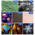 Slide image 6b3bac5ea37d43c7b787b8a3cd403913