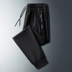 Summer Ice Silk Pants Men's Breathable Fine Mesh Quick-drying Casual Pants Zipper Pocket Loose Elastic Sports Pants Jogger Men