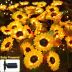 Slide image 2a5dd3c452a049fda560f3f979ef8f3f