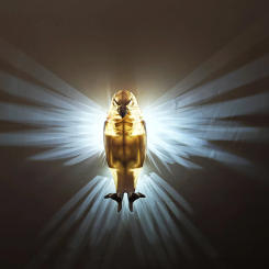 Injection Molded Owl Eagle Night Light Wall Decoration Light Indoor Party Animal Decoration With Switch Wholesale