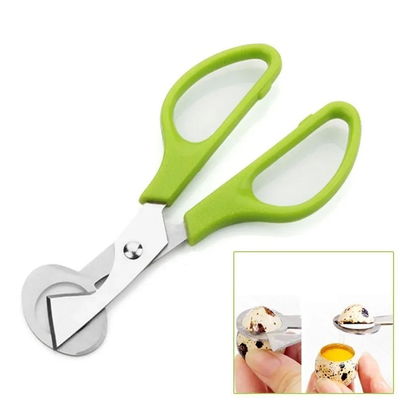 Description Picture 6 of itemPigeon Quail Open Crack Small Egg Shell Scissor Cut Bird Eggshell Separator Cigar Cutter Opener Tool Clipper Cracker Blade Shear