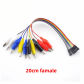 20cm famale