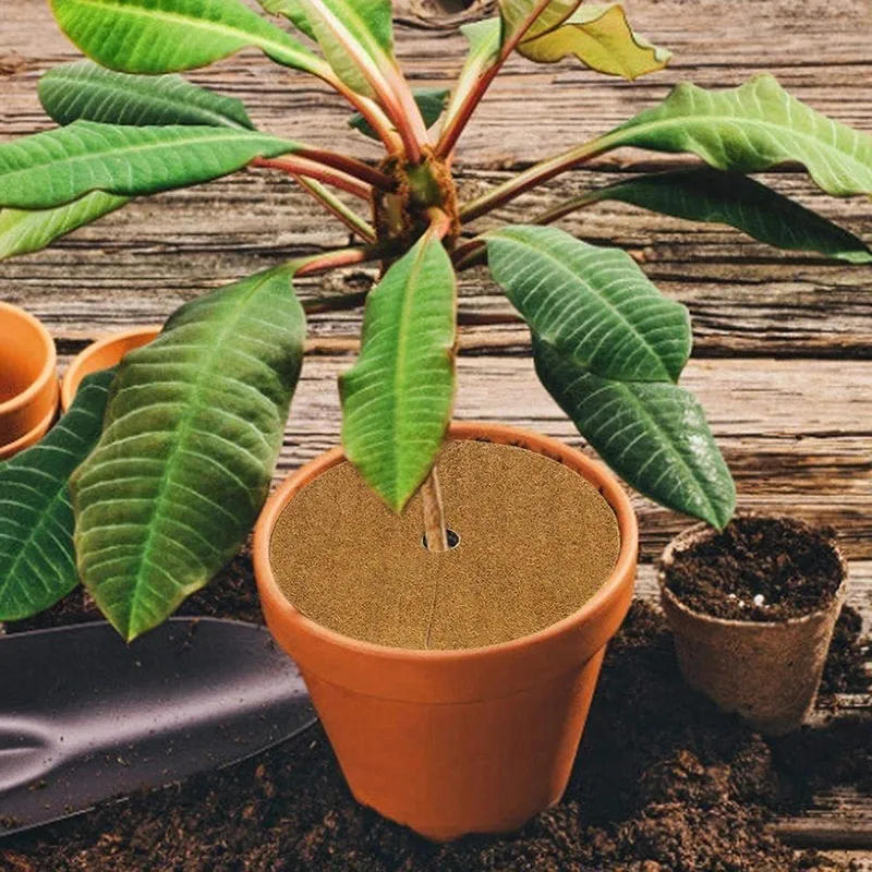 Description Picture 5 of itemPlant Fiber Roll Natural Reptile Carpet Mats Reptile Bedding Supplies Insulation Flowerpot Basket Coconut Coir Liner Sheet Coco