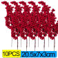 10PCS