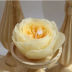 Slide image 1ae6d4b1edd24c2f97dd6426151846b0
