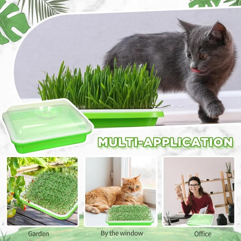 Description Picture 6 of item1set Sprouting Tray With Cover Pea Bean Wheat Seedling Germination Plate Cat Grass Wheatgrass Soilless Hydroponics Planting Pots