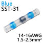 SST-31