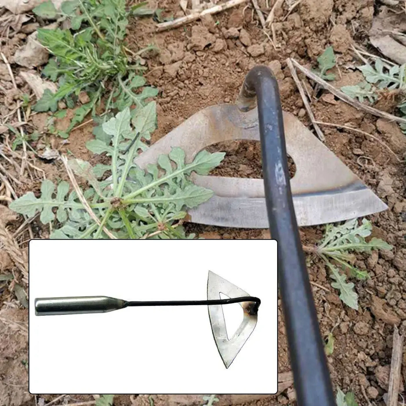 Slide 51dc62e08c704f1580f800cef0ae713c